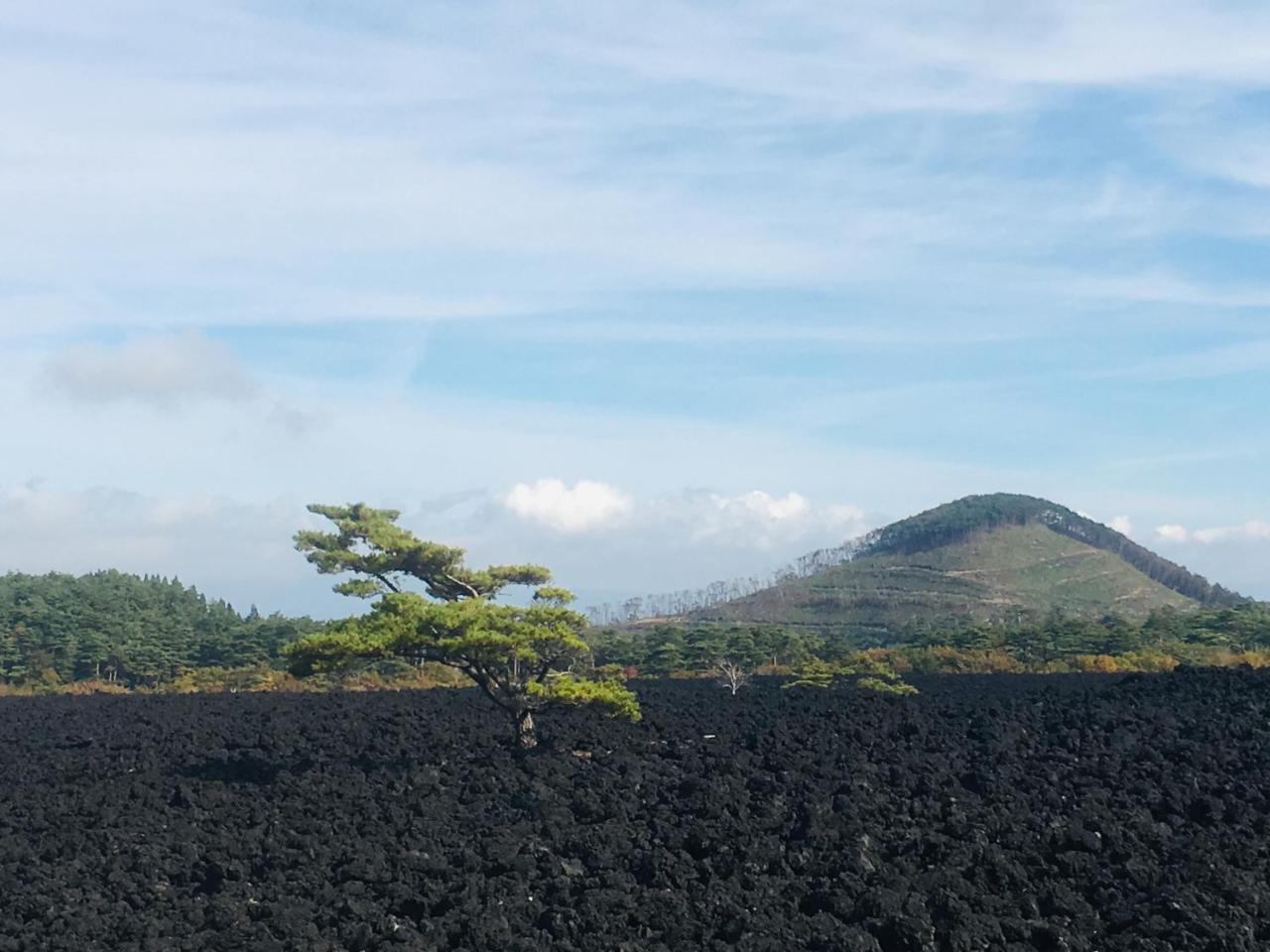 温泉ゲストハウス やすもり 本館 Hachimantai  Eksteriør bilde