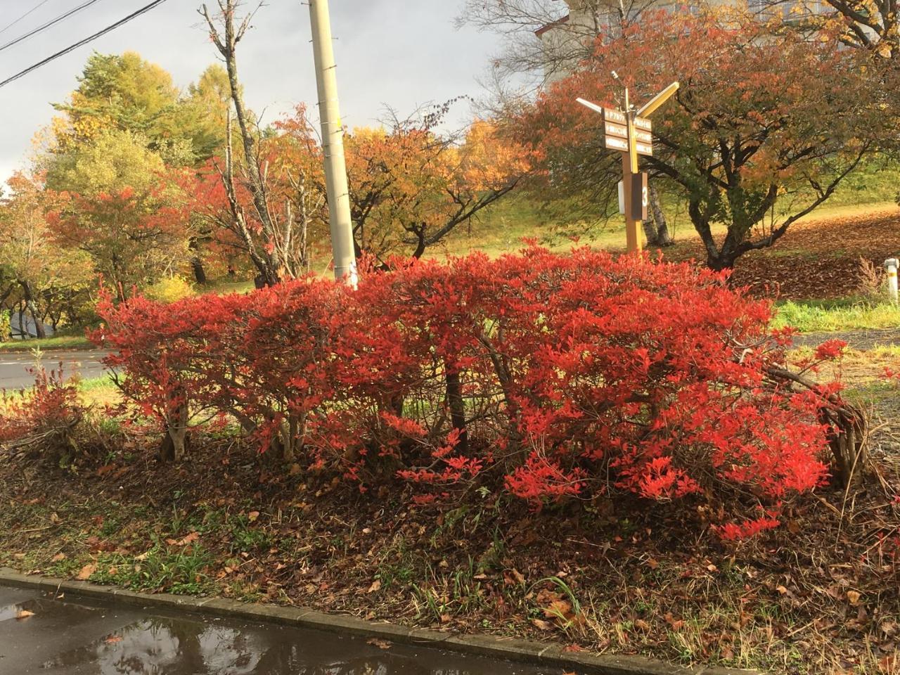 温泉ゲストハウス やすもり 本館 Hachimantai  Eksteriør bilde
